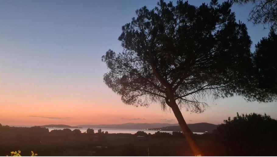 Casa Nuova Tra Umbria E Toscana Con Vista Lago Apartment Castiglione del Lago Exterior photo